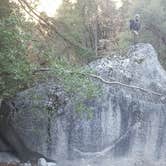 Review photo of Yosemite Creek — Yosemite National Park by Brittany S., August 14, 2018