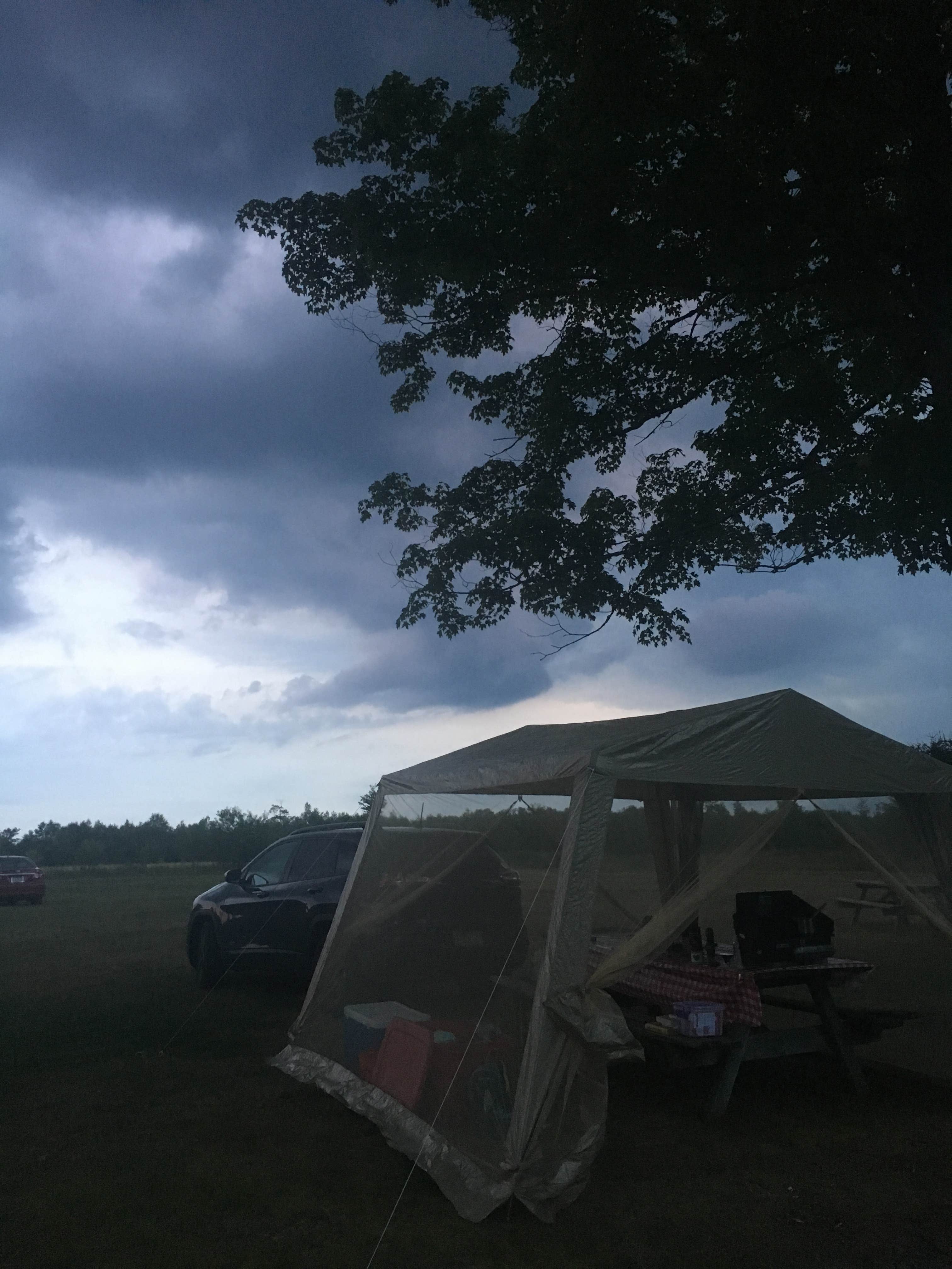 Camper submitted image from Cherry Springs State Park Campground - 3