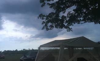 Ally S.'s photo at Cherry Springs State Park Campground near Galeton, PA