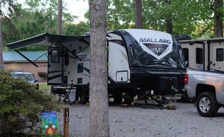 The Dyrt's photo at Pine Ridge Campground near Laurens, SC