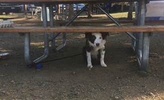 Megan W.'s photo of camping with pets at Smith Rock State Park Campground near Central Oregon