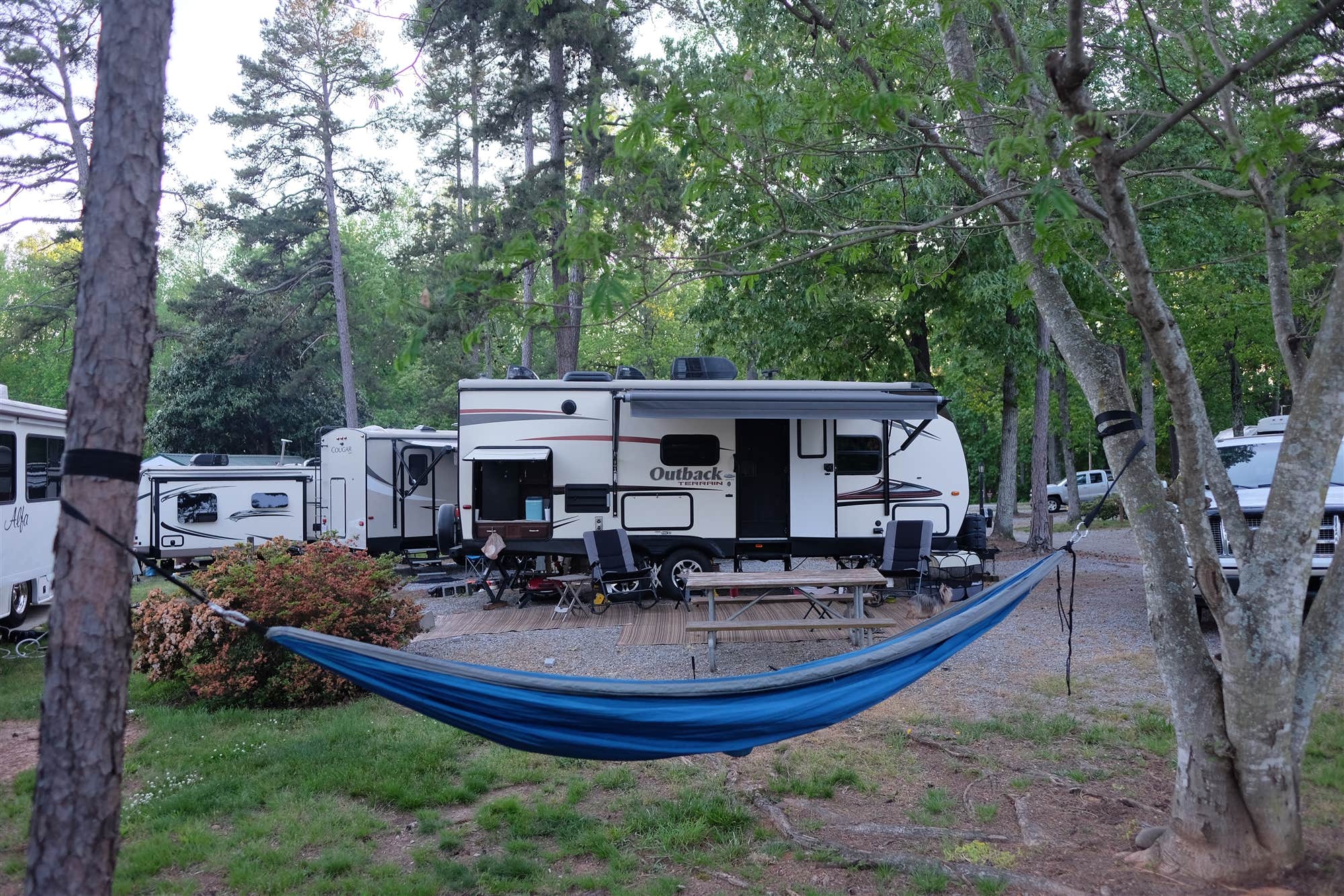 The Dyrt's photo at Pine Ridge Campground near Cross Anchor, SC