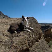 Review photo of Smith Rock State Park Campground by Megan W., August 14, 2018