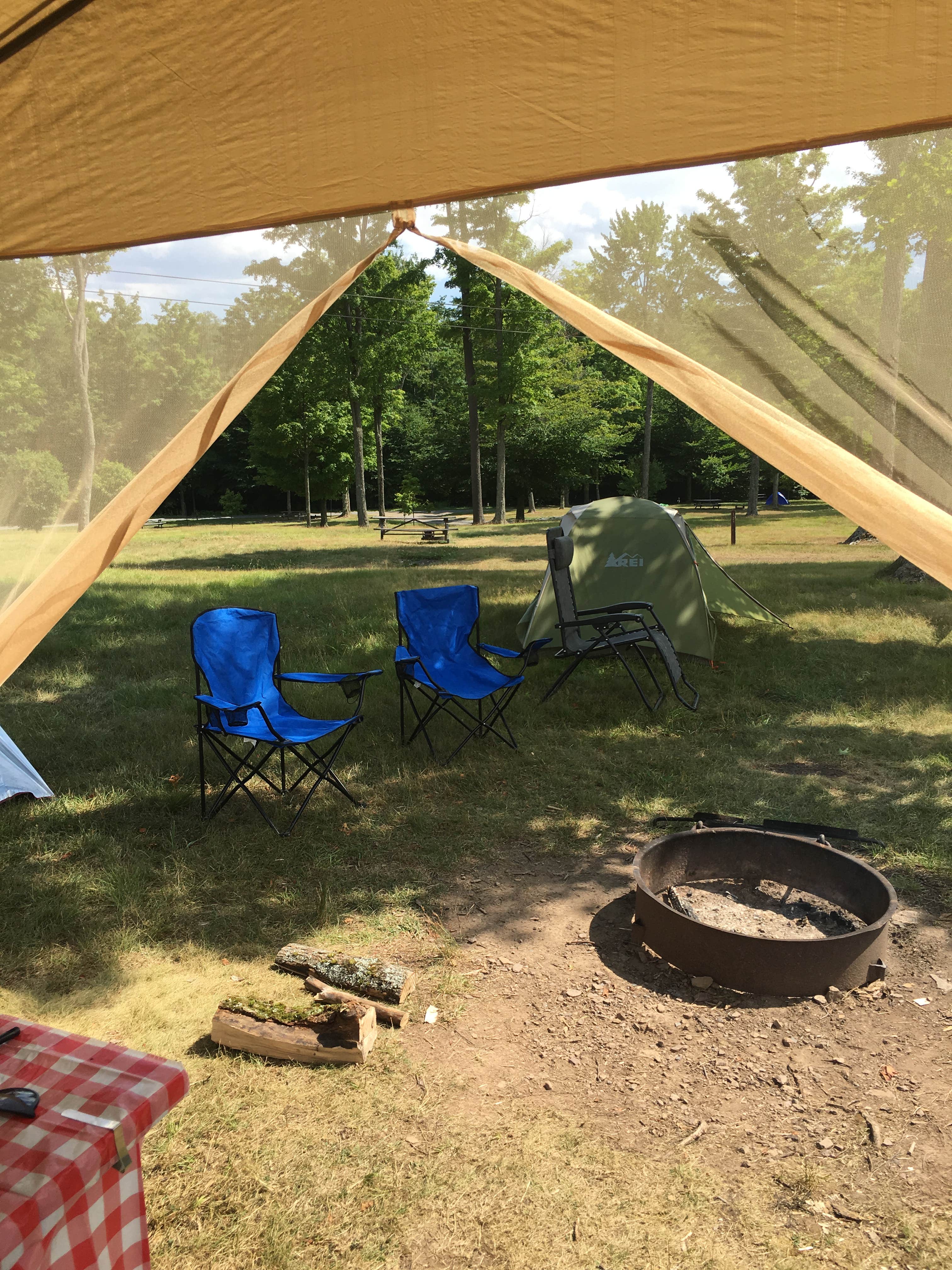 Camper submitted image from Cherry Springs State Park Campground - 3
