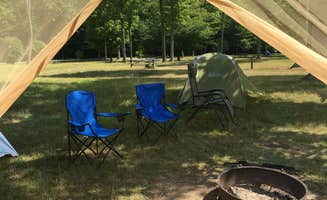 Ally S.'s photo at Cherry Springs State Park Campground near Emporium, PA