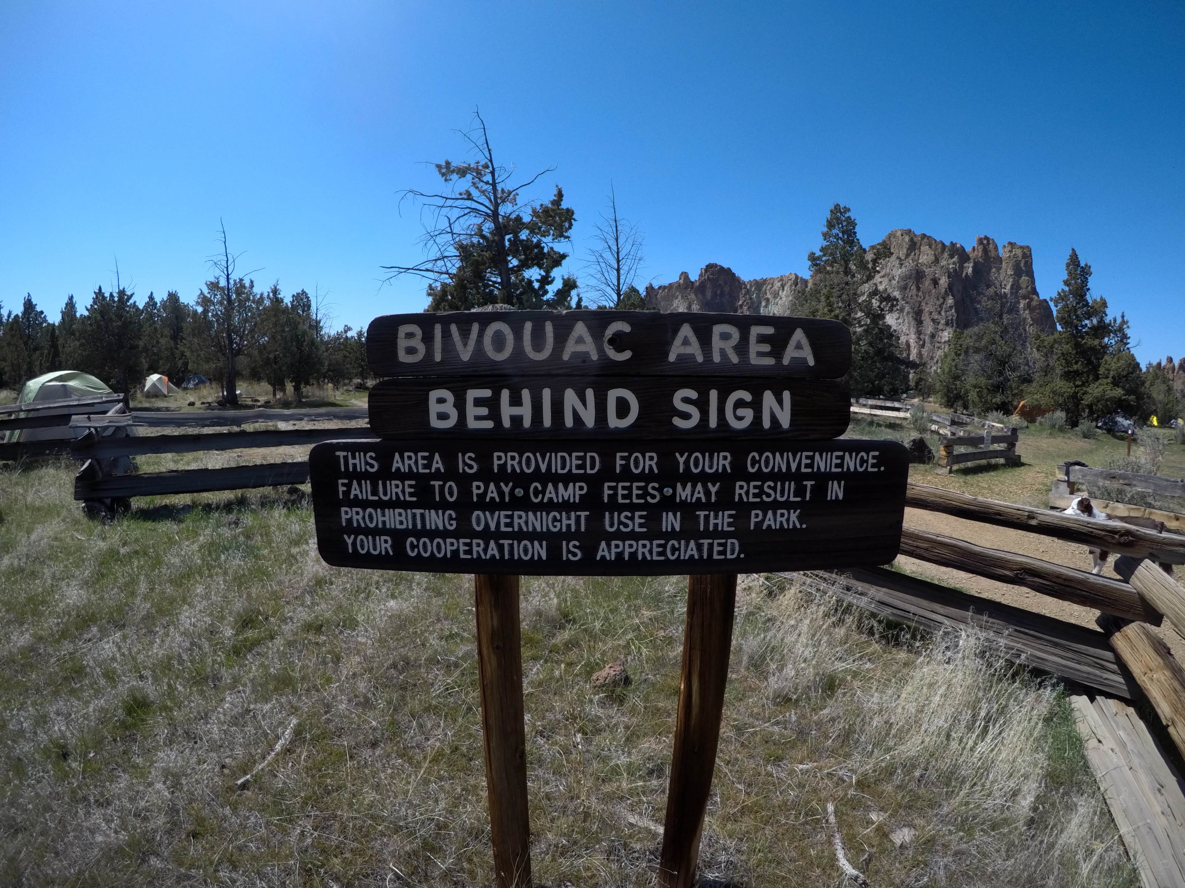 Camper submitted image from Smith Rock State Park Campground - 5