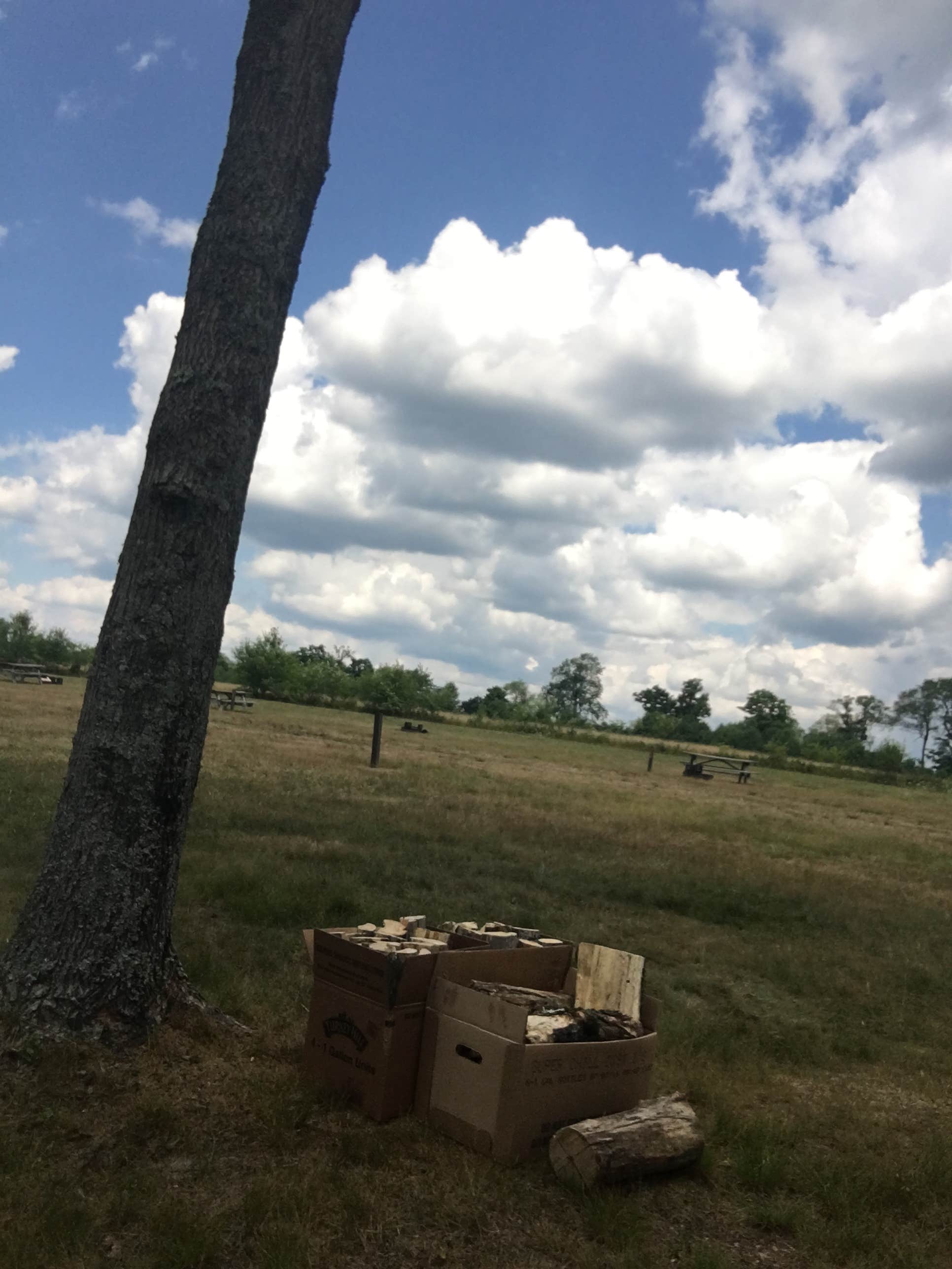 Camper-submitted photo at Cherry Springs State Park Campground near Emporium, PA