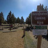 Review photo of Smith Rock State Park Campground by Megan W., August 14, 2018