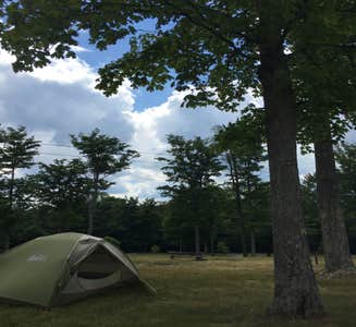 Camper-submitted photo from Lyman Run State Park Campground