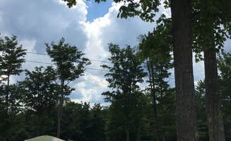 Ally S.'s photo at Cherry Springs State Park Campground near Cedar Run, PA