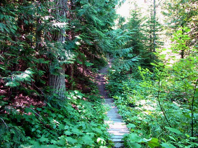 Camper-submitted photo at Whitefish-Kalispell North KOA near Frenchtown, MT