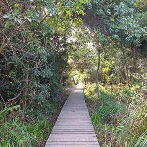 Camper-submitted photo at Whitefish-Kalispell North KOA near Frenchtown, MT