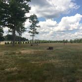 Review photo of Cherry Springs State Park Campground by Ally S., July 30, 2016