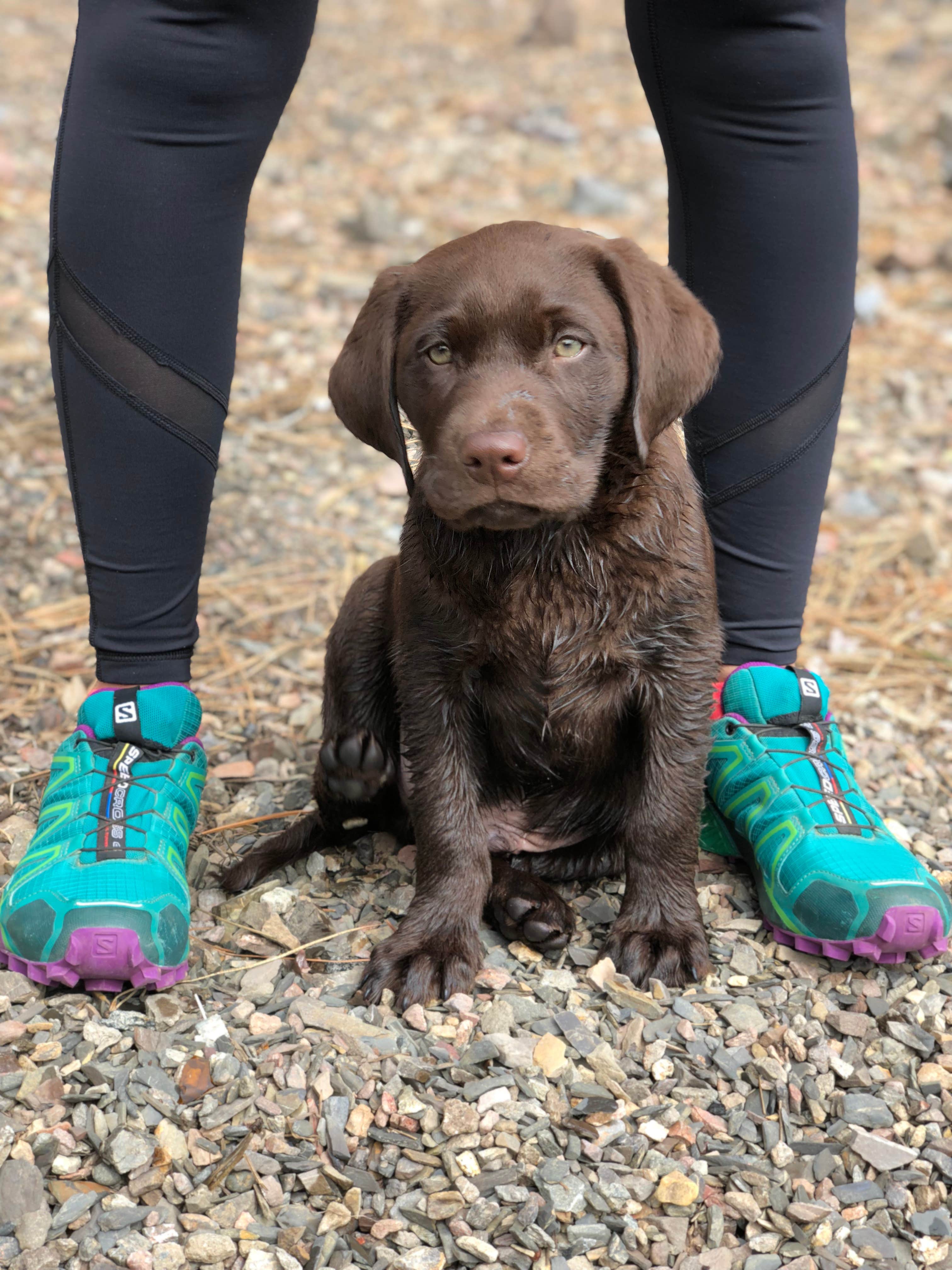 Camper-submitted photo at White Pass Lake (leech Lake) Campground near White Pass, WA