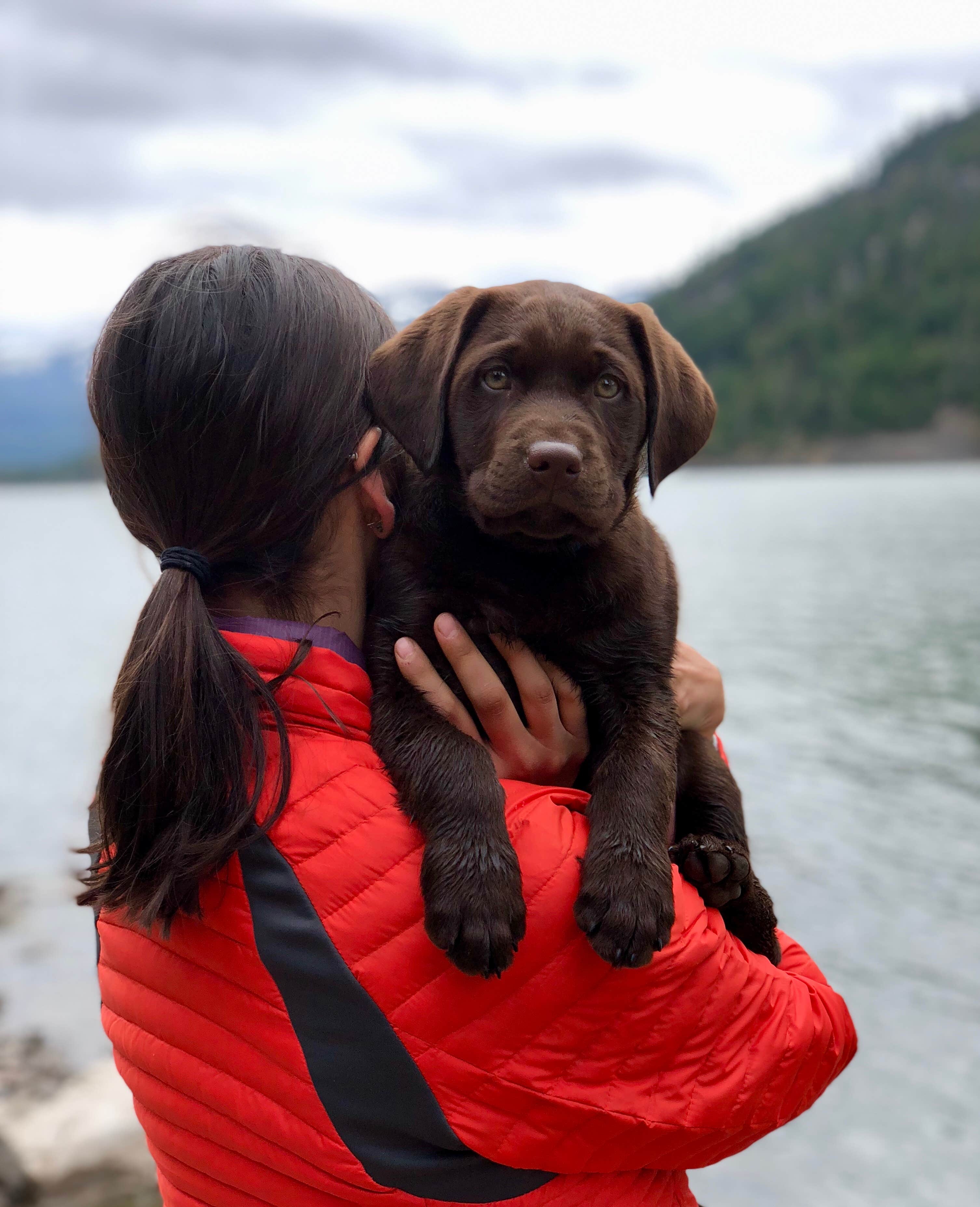 Camper-submitted photo at White Pass Lake (leech Lake) Campground near White Pass, WA
