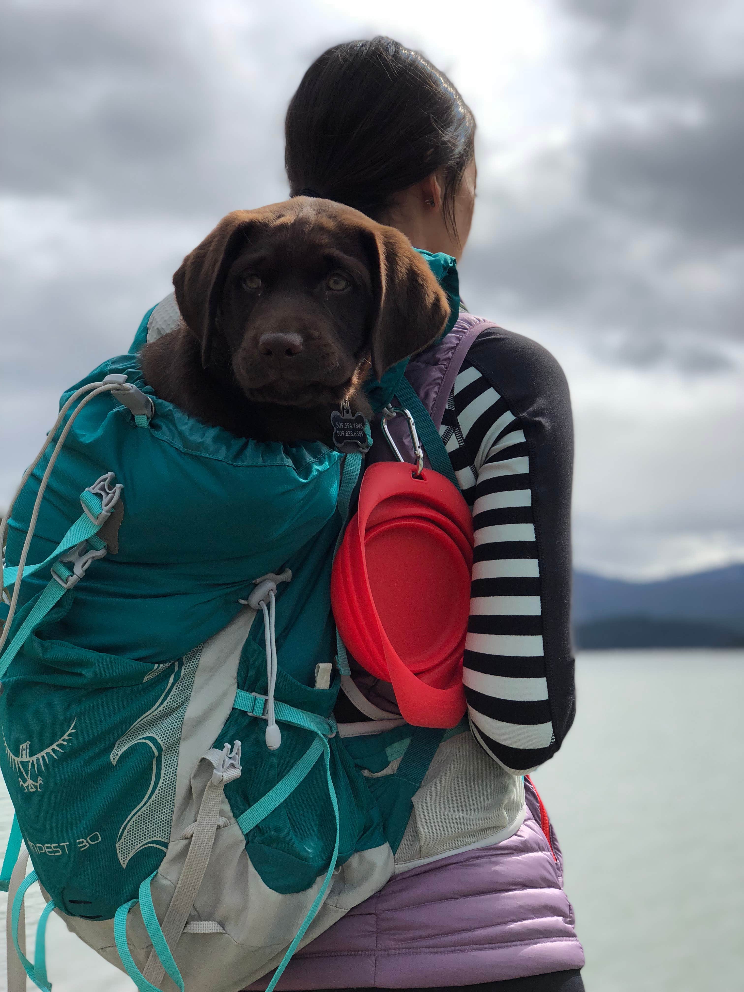 Camper-submitted photo at White Pass Lake (leech Lake) Campground near White Pass, WA
