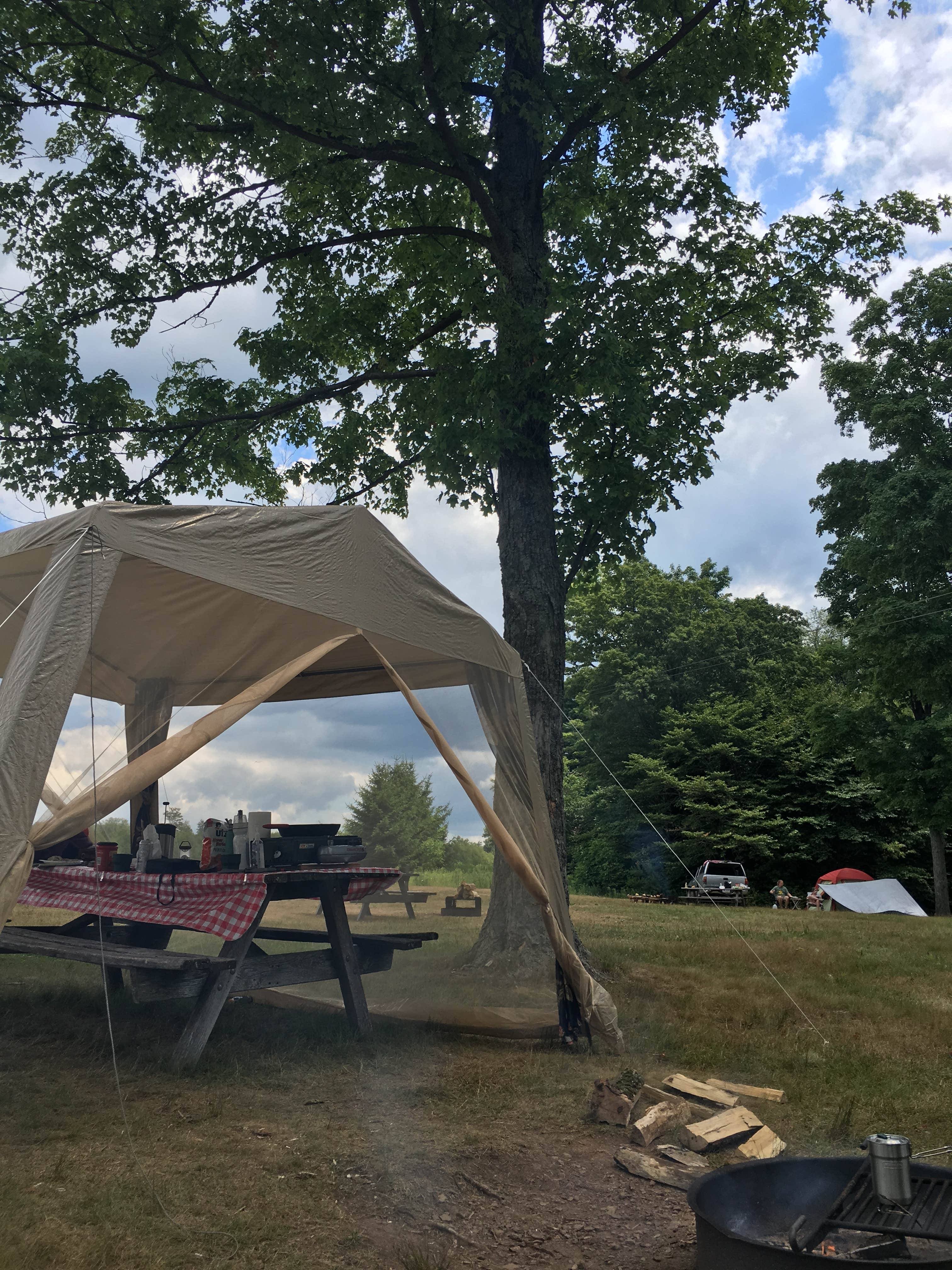 Ally S.'s photo at Cherry Springs State Park Campground near Gaines, PA
