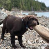 Review photo of White Pass Lake (leech Lake) Campground by Sasha W., August 14, 2018