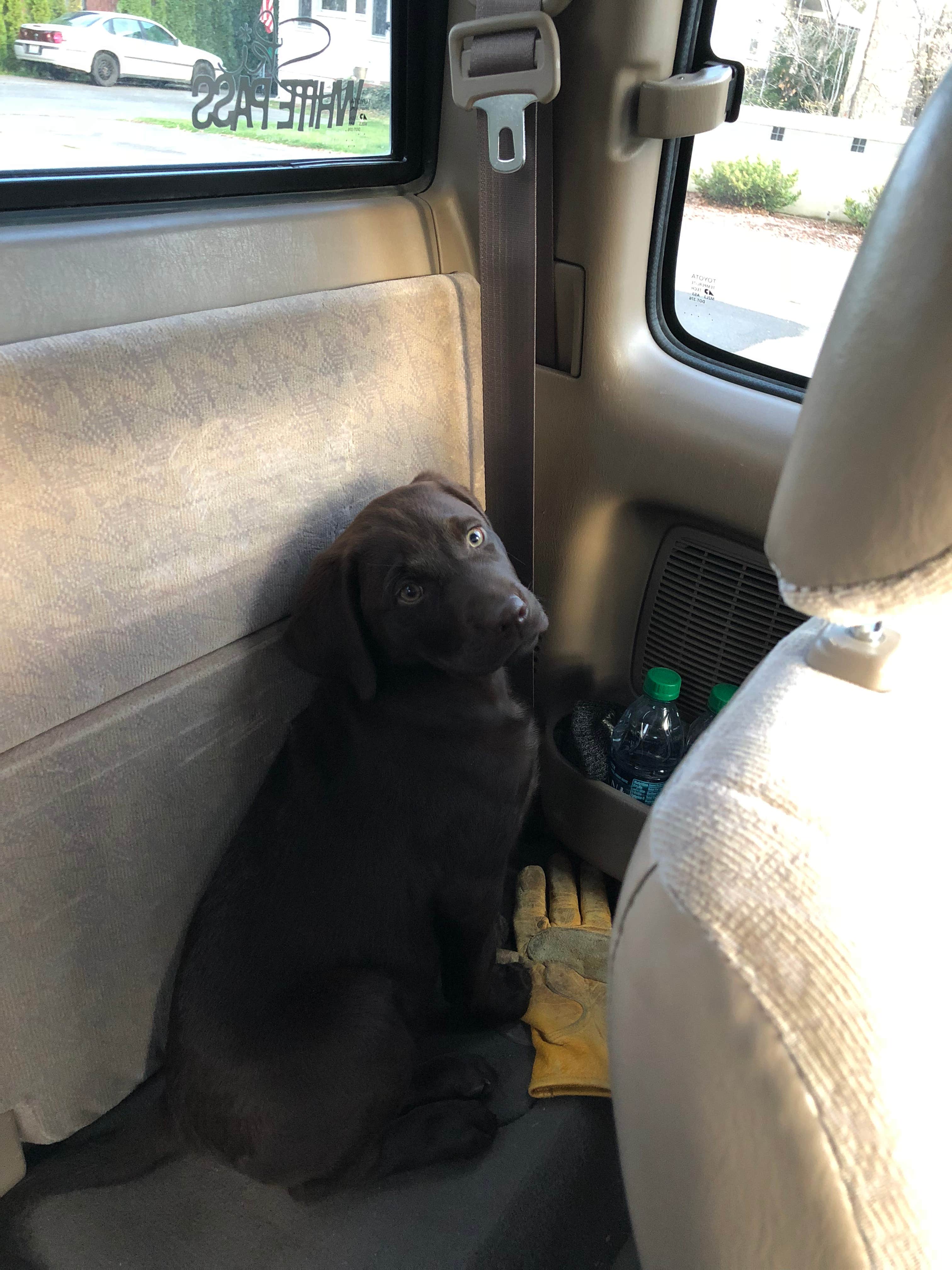 Camping near Goat Lake/Snowgrass Flat Backcountry Camp: White Pass Lake (leech Lake) Campground, White Pass, Washington