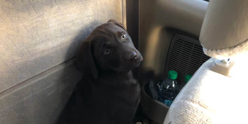 Camper submitted image from White Pass Lake (leech Lake) Campground