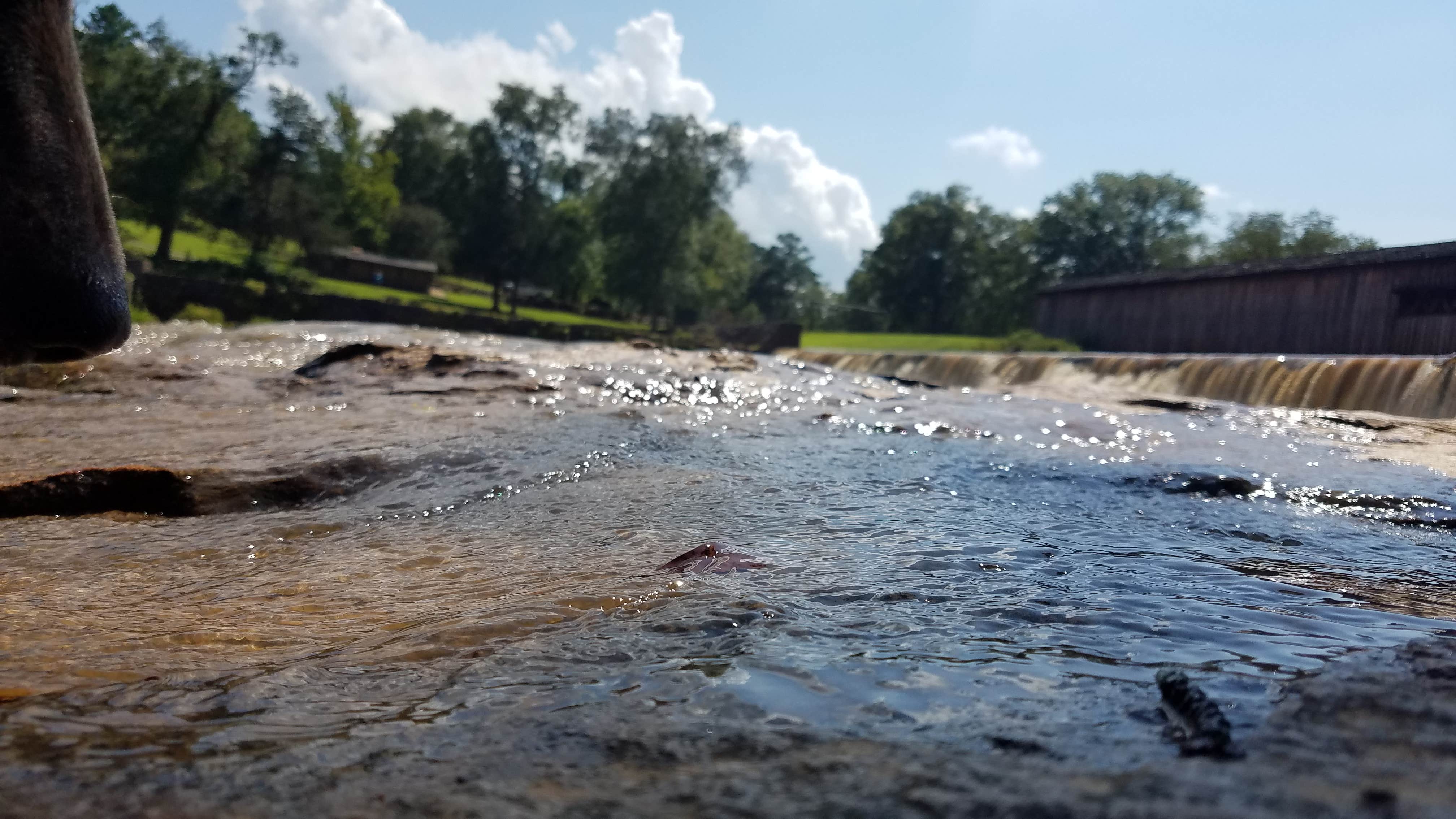 Camper-submitted photo at Watson Mill Bridge State Park Campground near Maxeys, GA