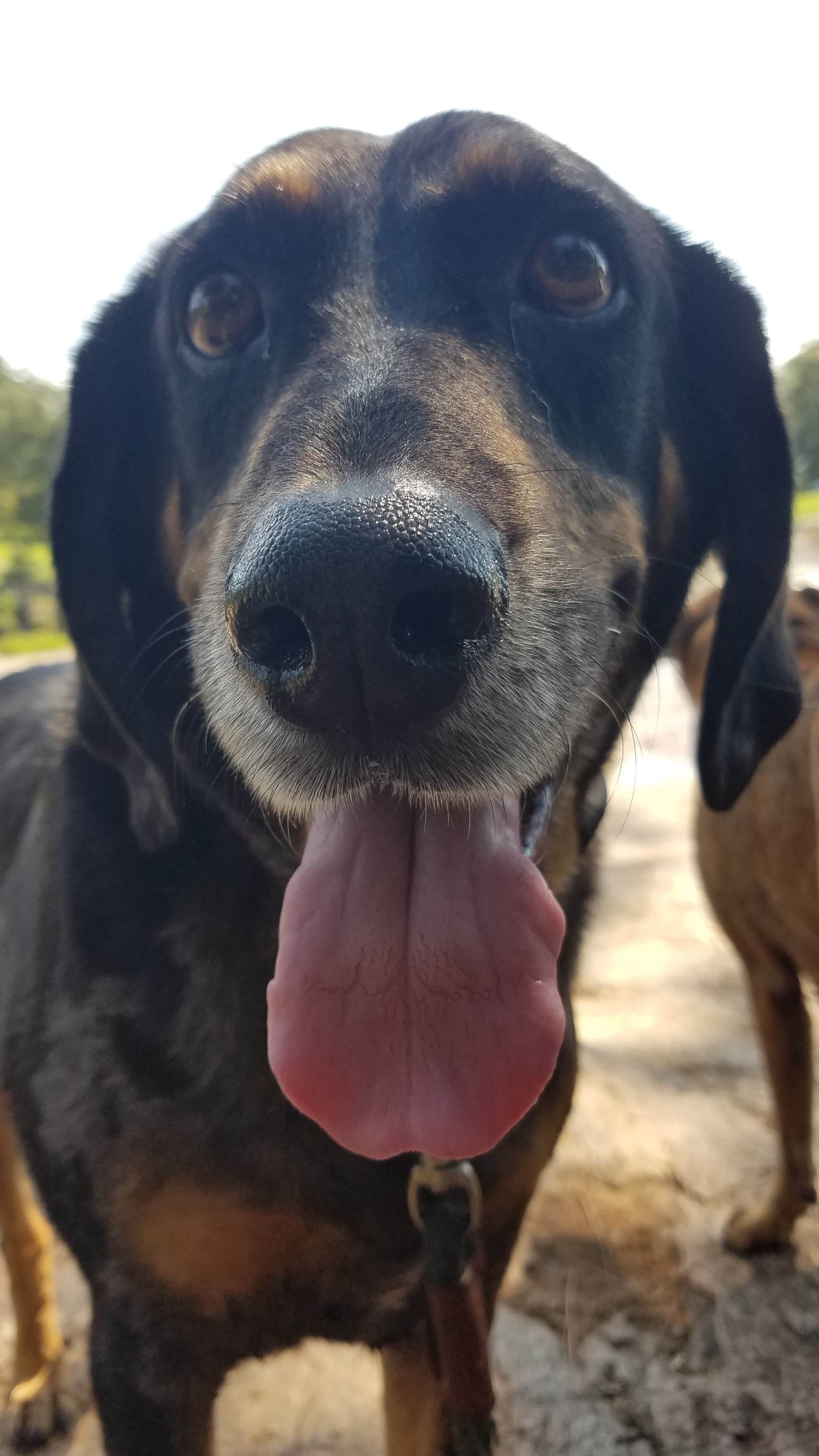 Camper-submitted photo at Watson Mill Bridge State Park Campground near Maxeys, GA