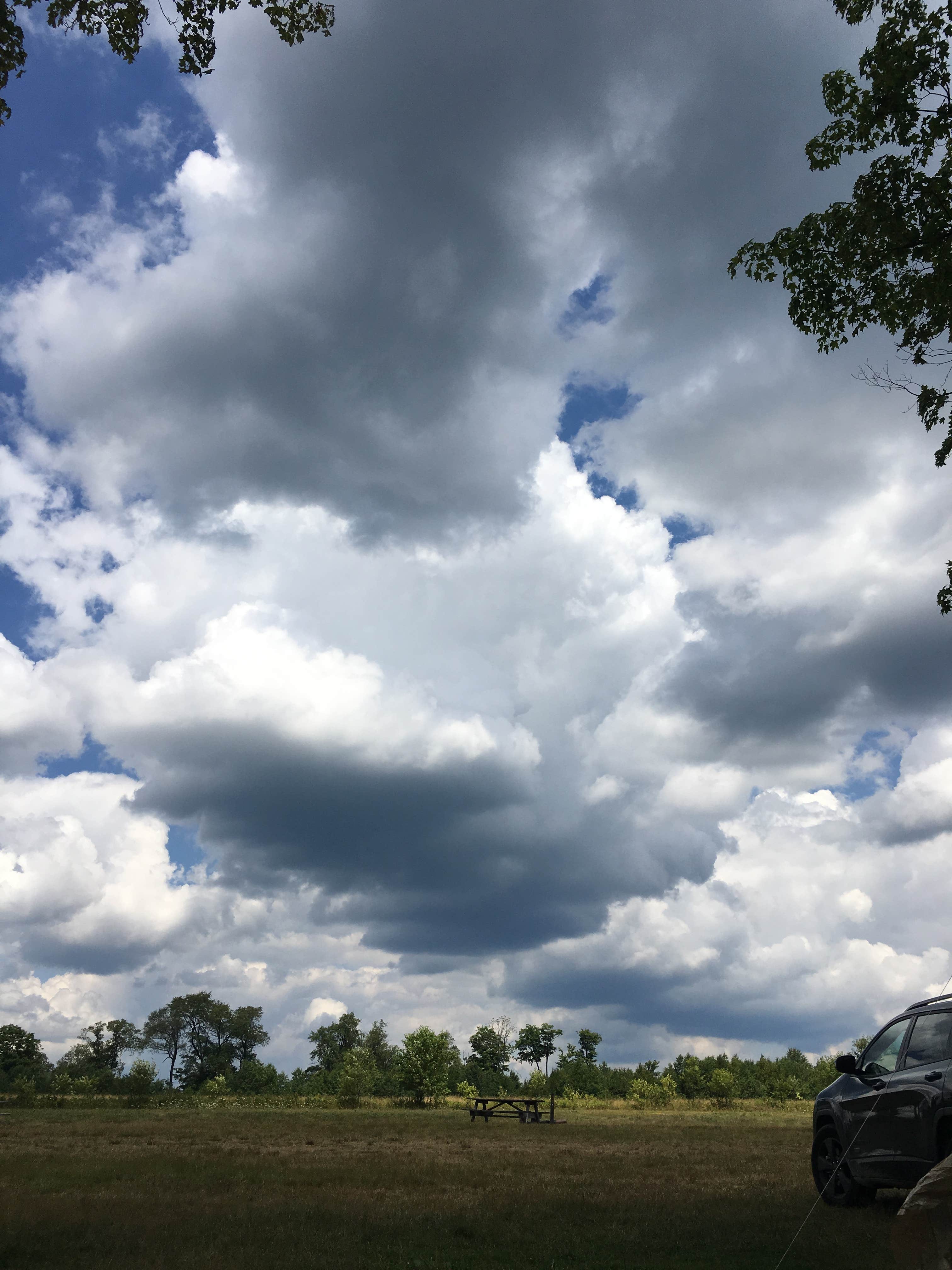 Camper submitted image from Cherry Springs State Park Campground - 1
