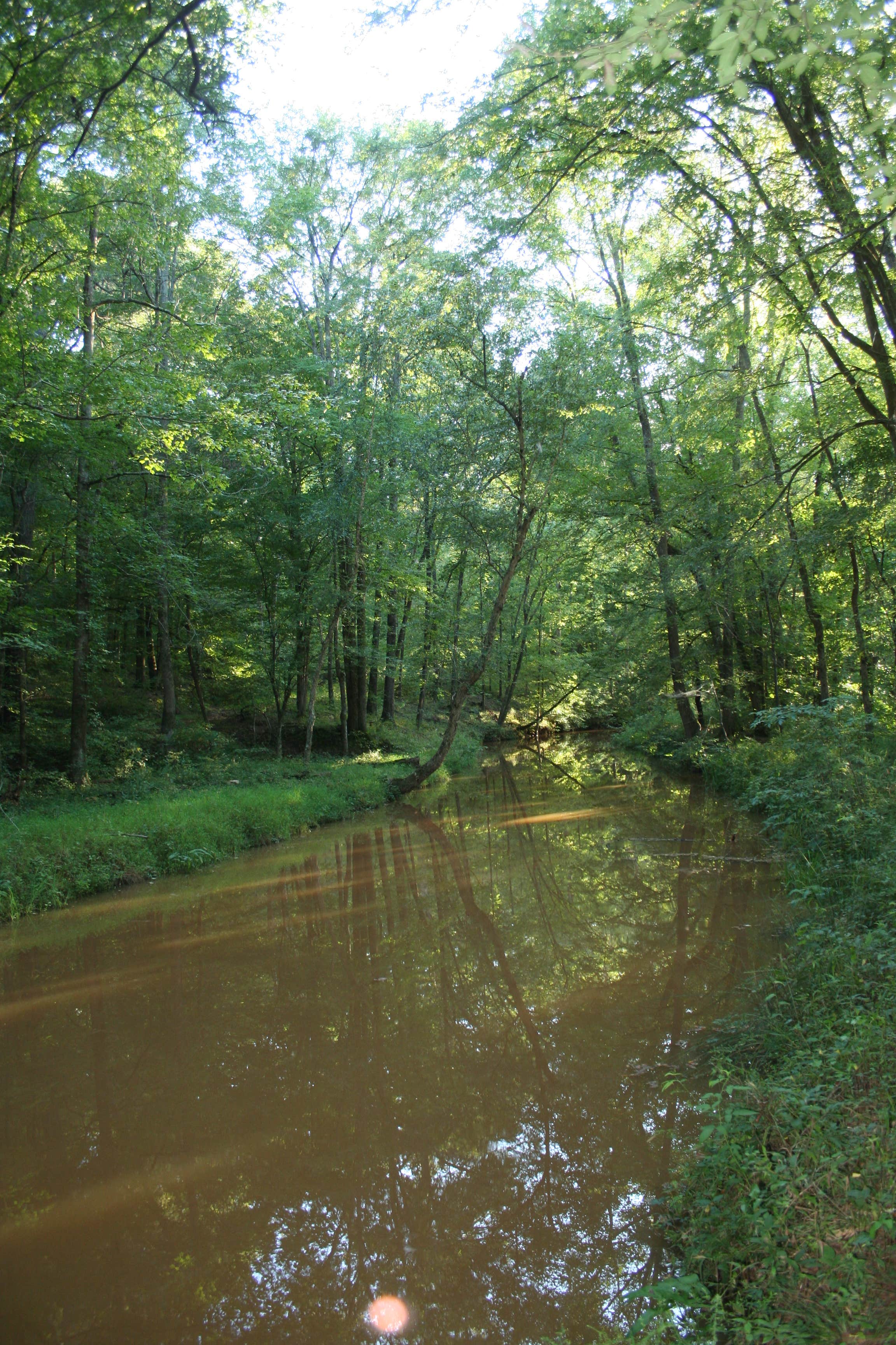 Camper submitted image from Watson Mill Bridge State Park Campground - 3