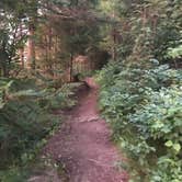 Review photo of West Chickenbone Campground — Isle Royale National Park by Jesse H., August 14, 2018