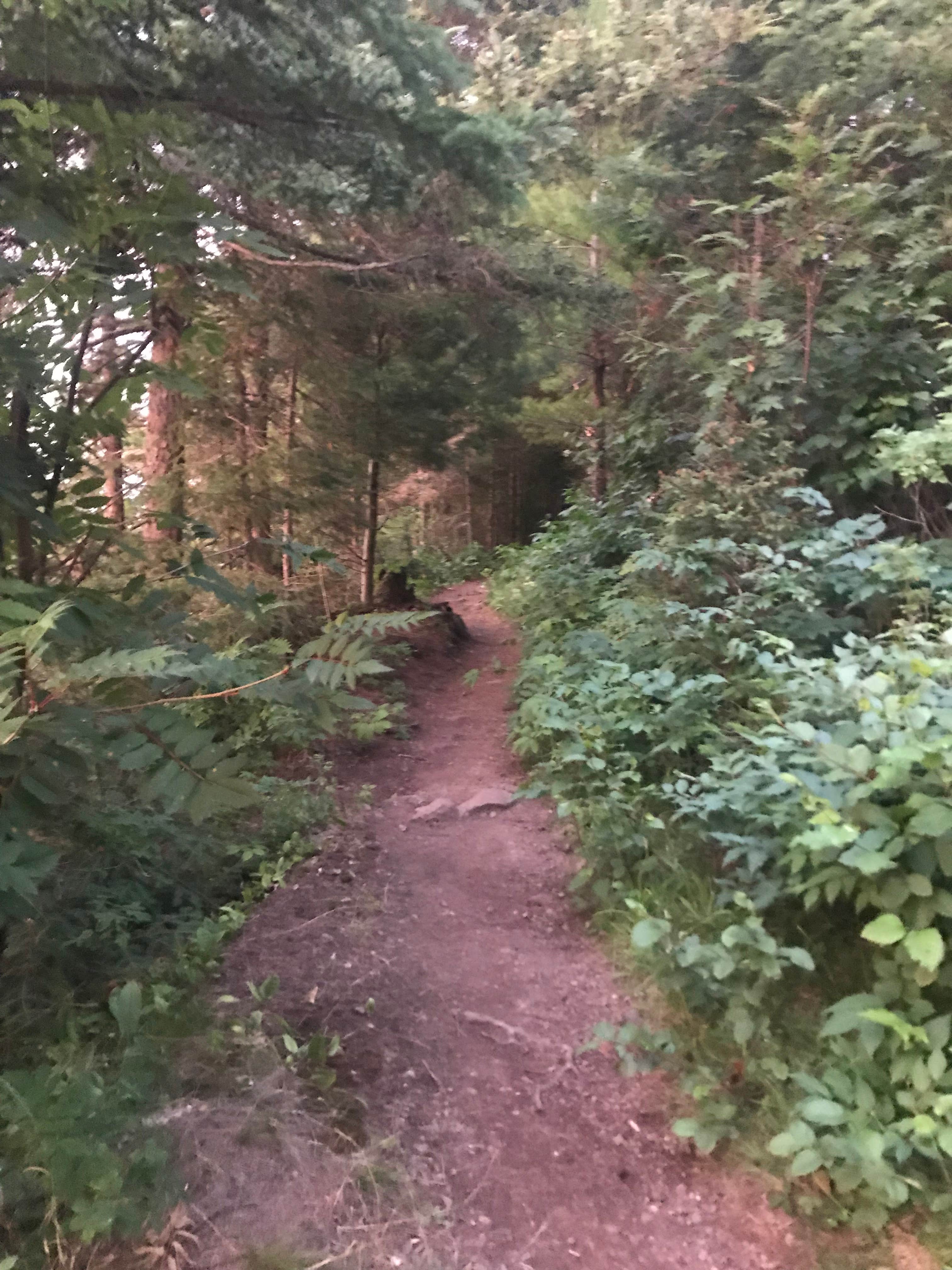 Camper submitted image from West Chickenbone Campground — Isle Royale National Park - 5