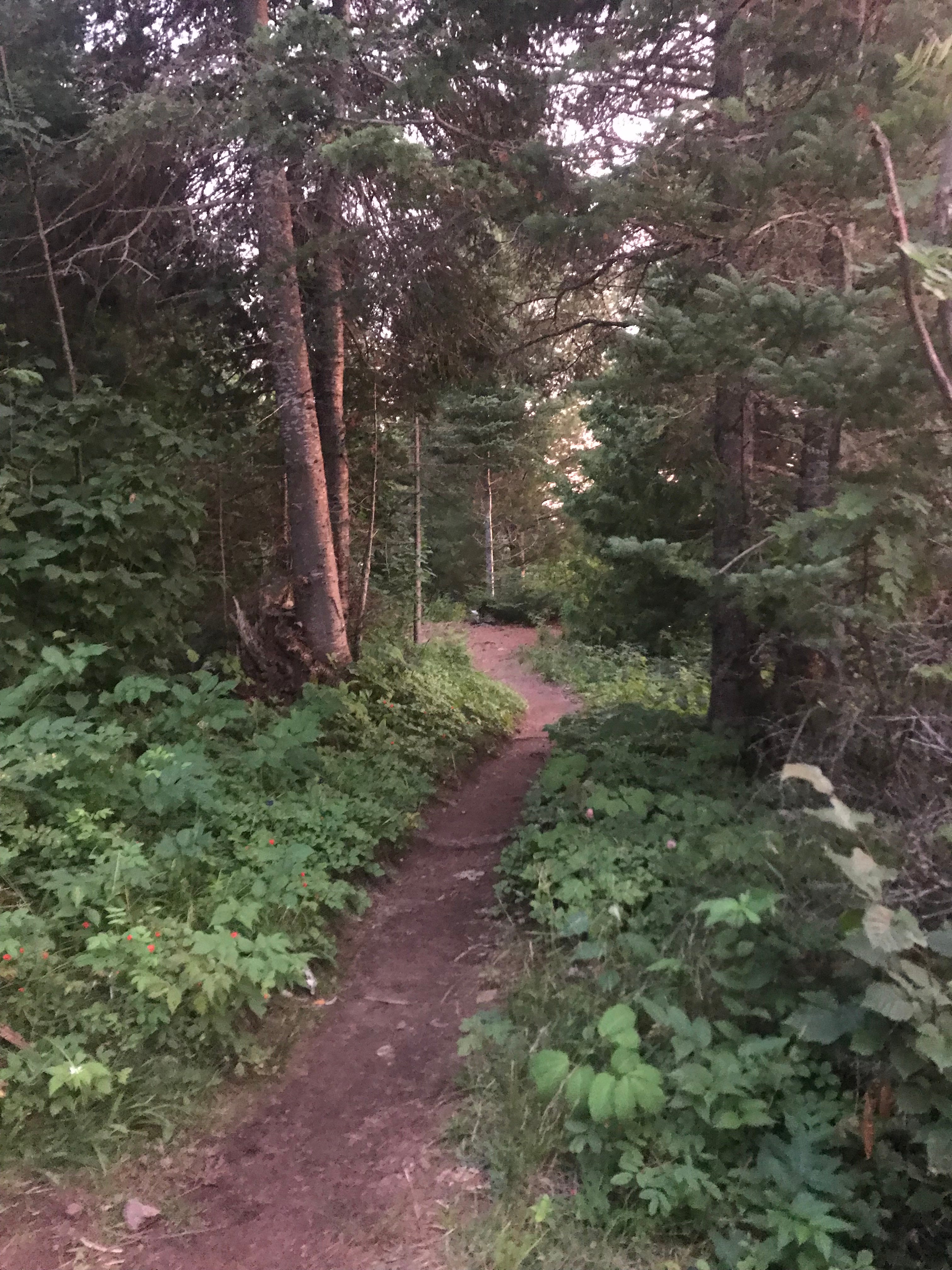 Trail to group campsites