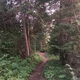 Review photo of West Chickenbone Campground — Isle Royale National Park by Jesse H., August 14, 2018