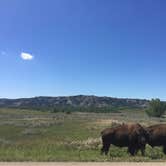 Review photo of Juniper Campground — Theodore Roosevelt National Park by Jessica L., July 30, 2016