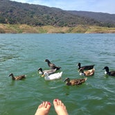 Review photo of Lake Casitas Recreation Area by Amanda  C., August 14, 2018