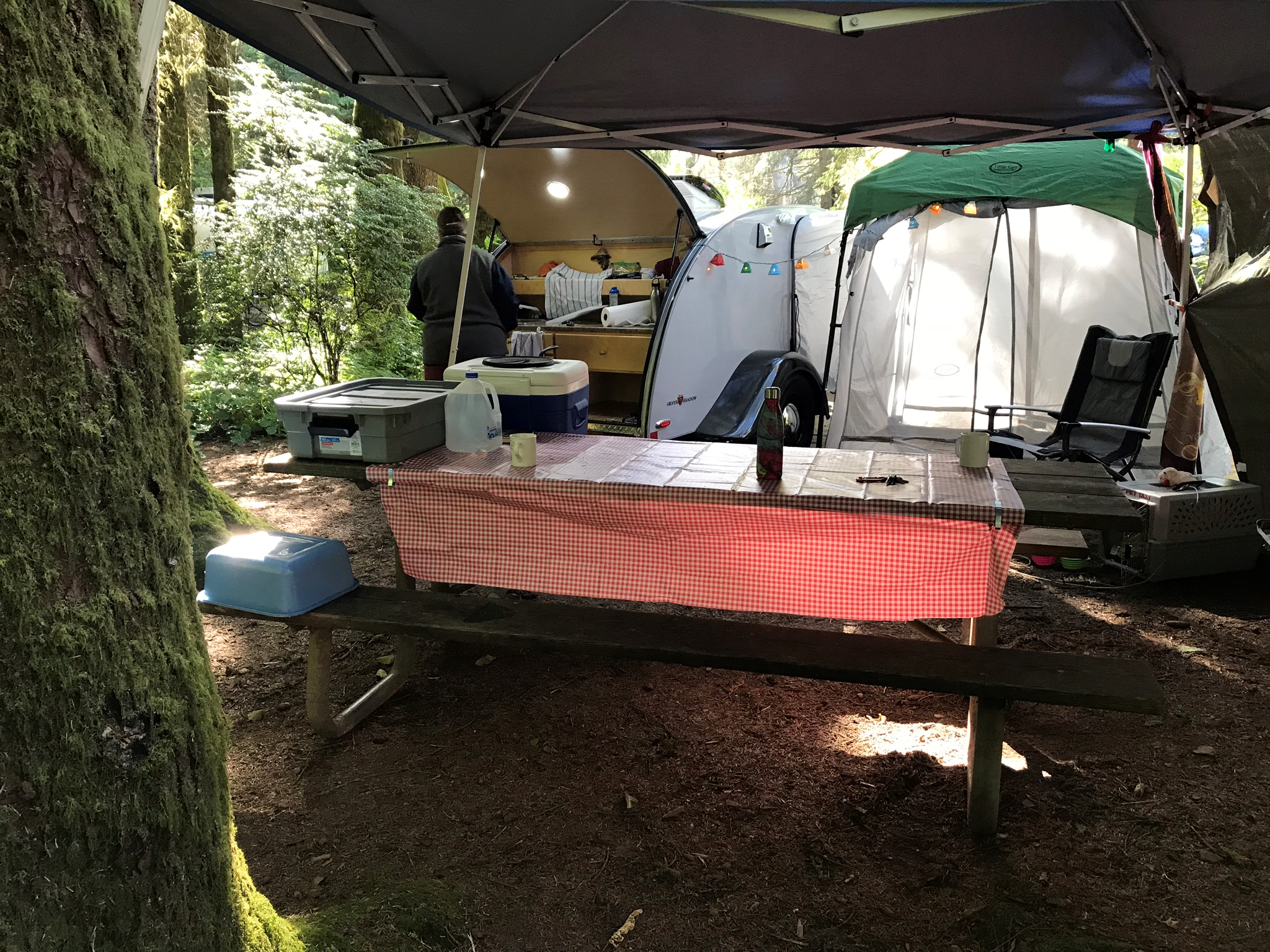 Camper submitted image from Rainbow Falls State Park Campground - 3
