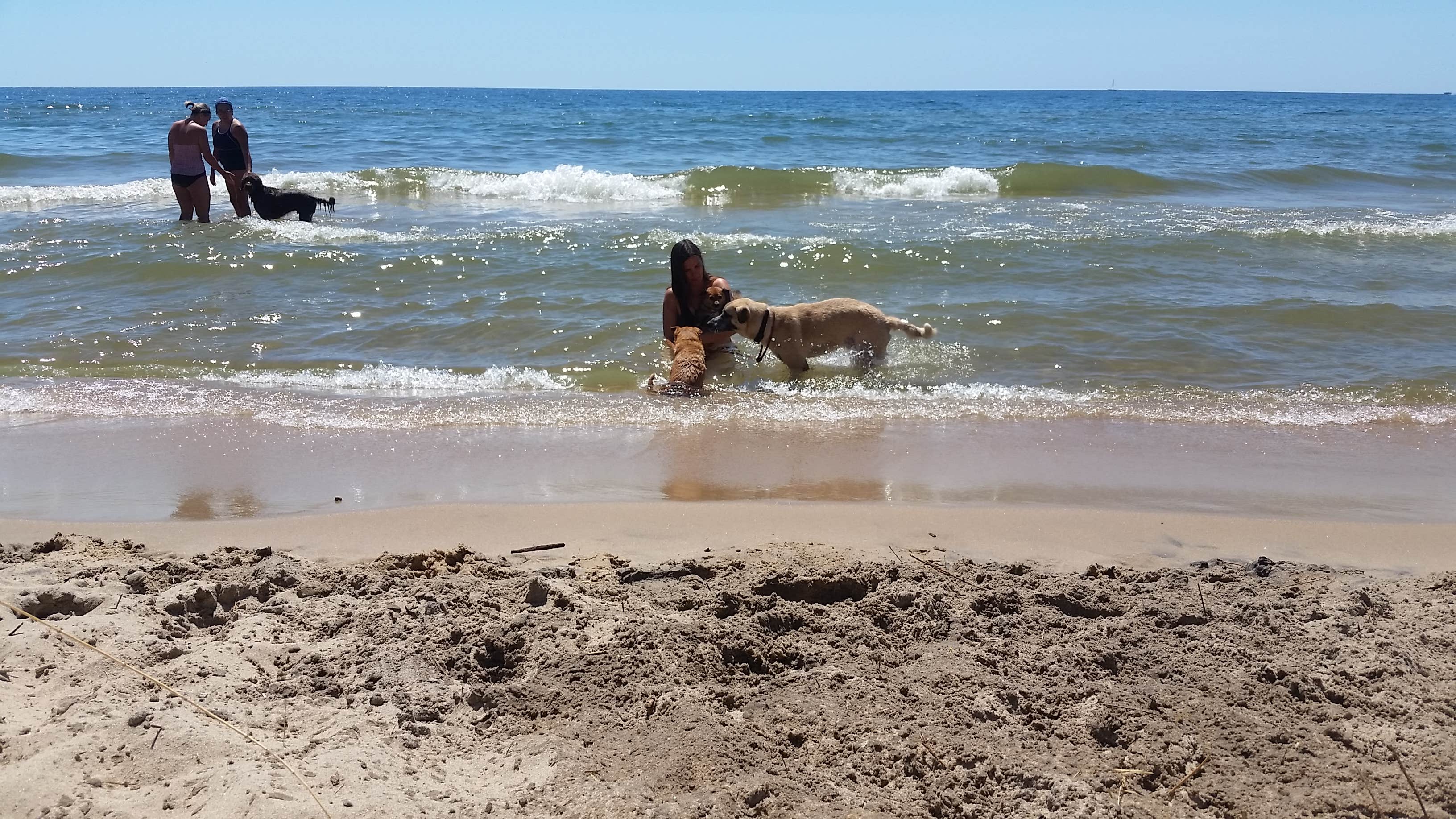 Camper-submitted photo at Traverse City State Park Campground near South Boardman, MI