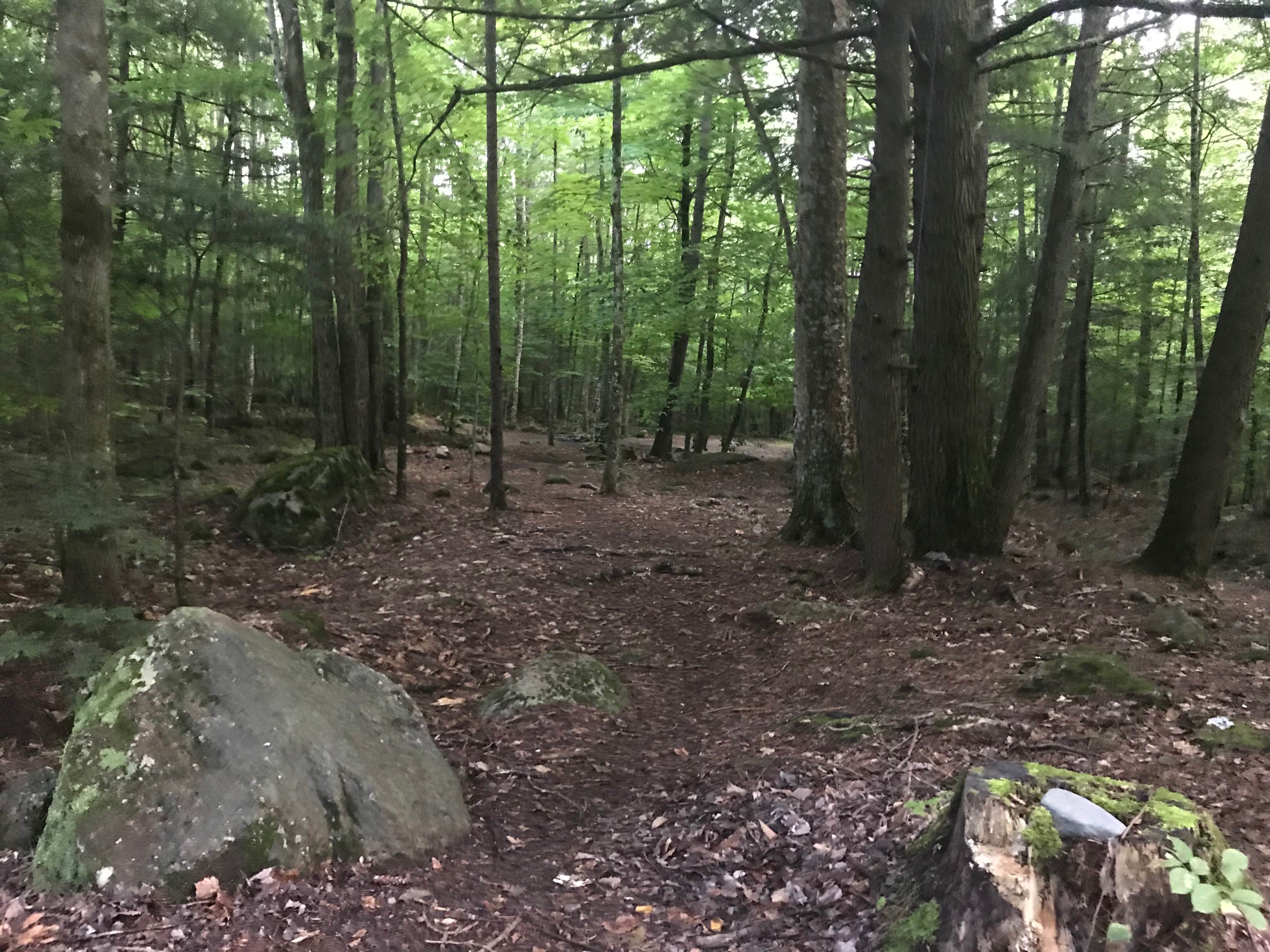 Nature