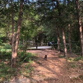 Review photo of Anderson Road Campground by Alicia F., August 15, 2018