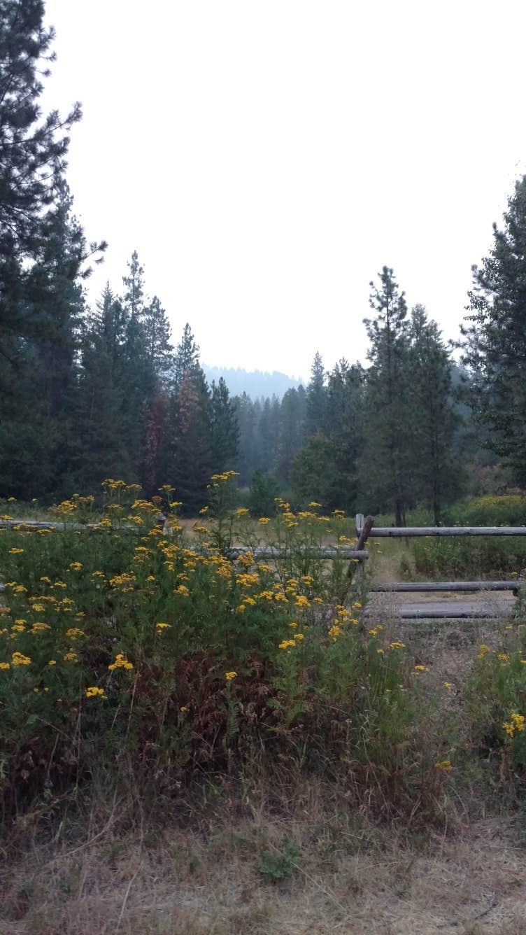 Camper-submitted photo at Deer Lake Resort near Deer Park, WA