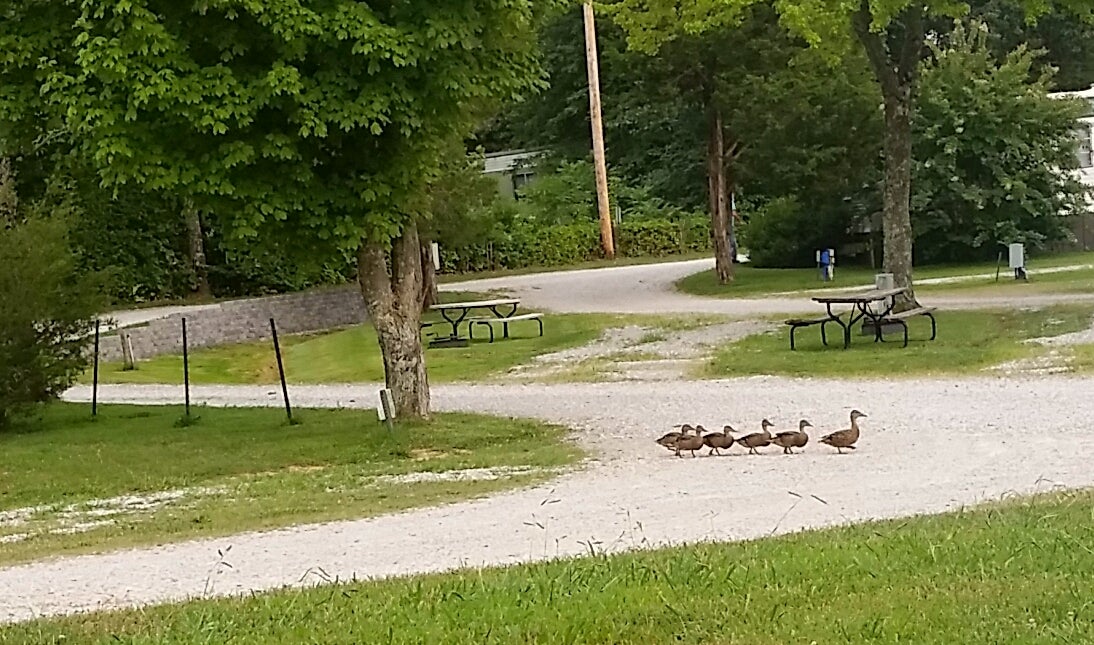 This place has their ducks in a row. 