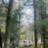 Review photo of Clarence Fahnestock State Park Campground by Robyn S., July 30, 2016