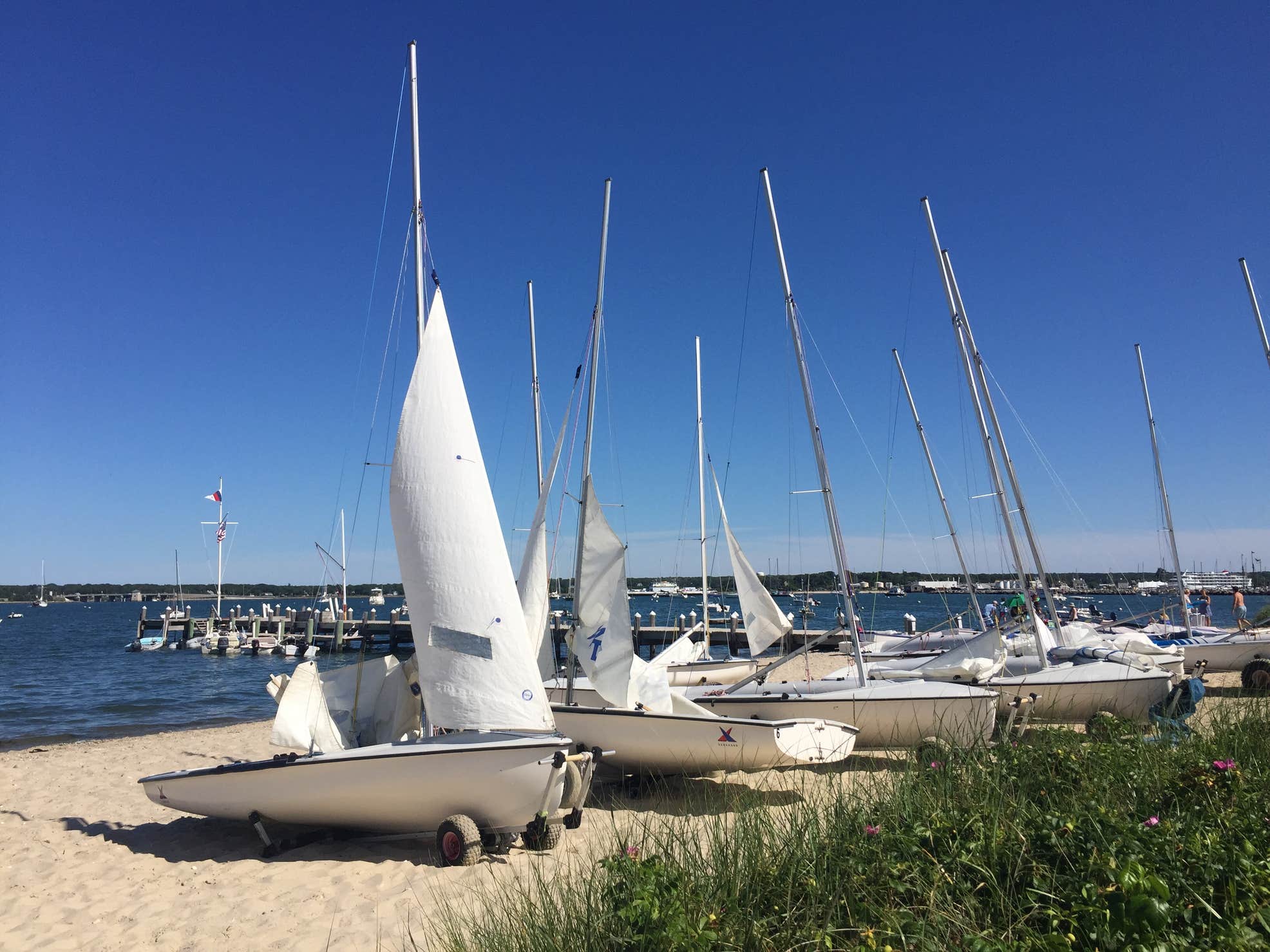 Marthas Vineyard Family Campground Camping The Dyrt