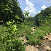 Review photo of Rock Island State Park Campground by Alicia F., August 15, 2018