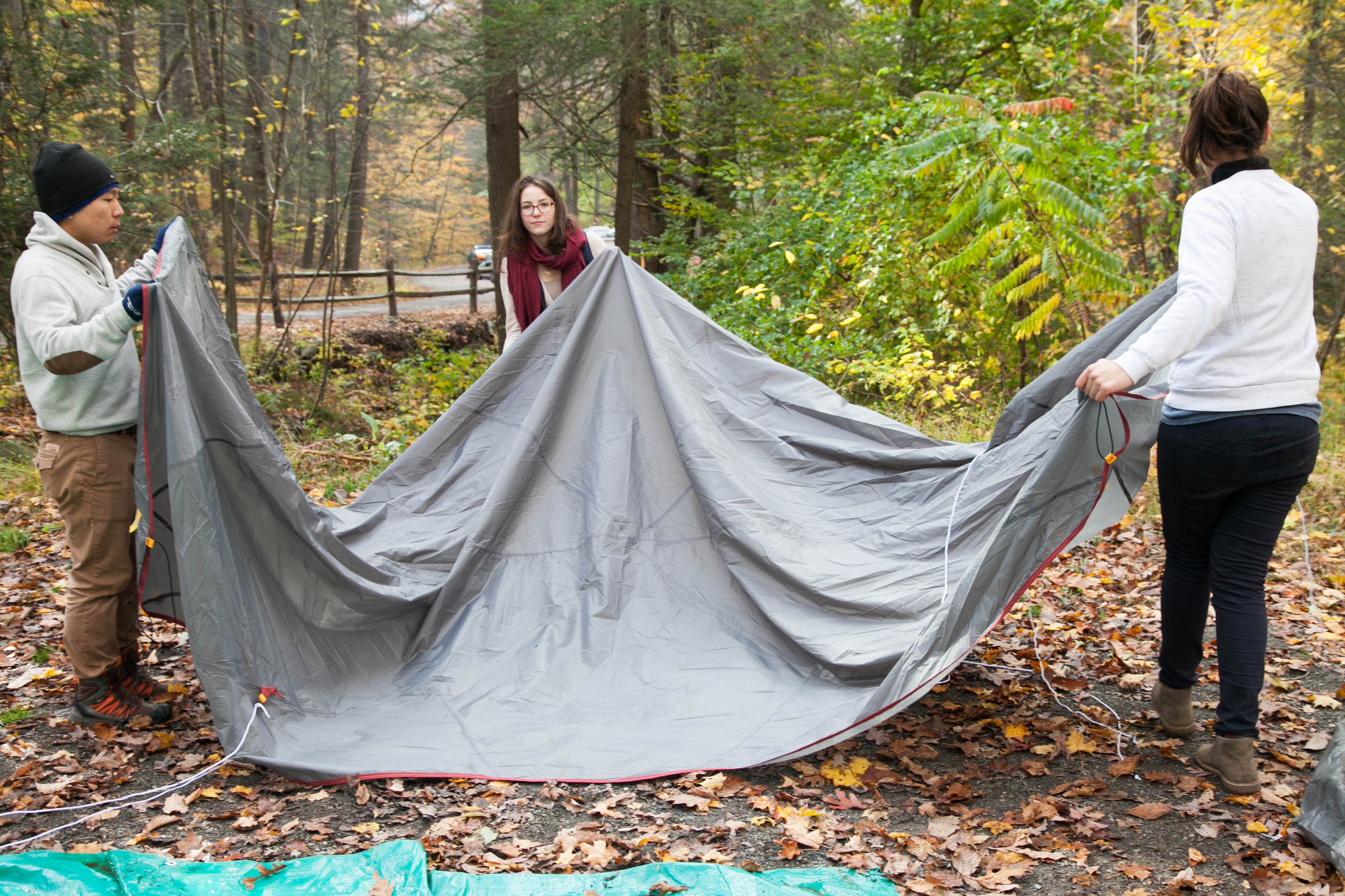 Robyn S.'s photo at Clarence Fahnestock State Park Campground near Pound Ridge, NY