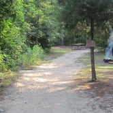Review photo of Hawn State Park Campground by Elodie B., August 15, 2018