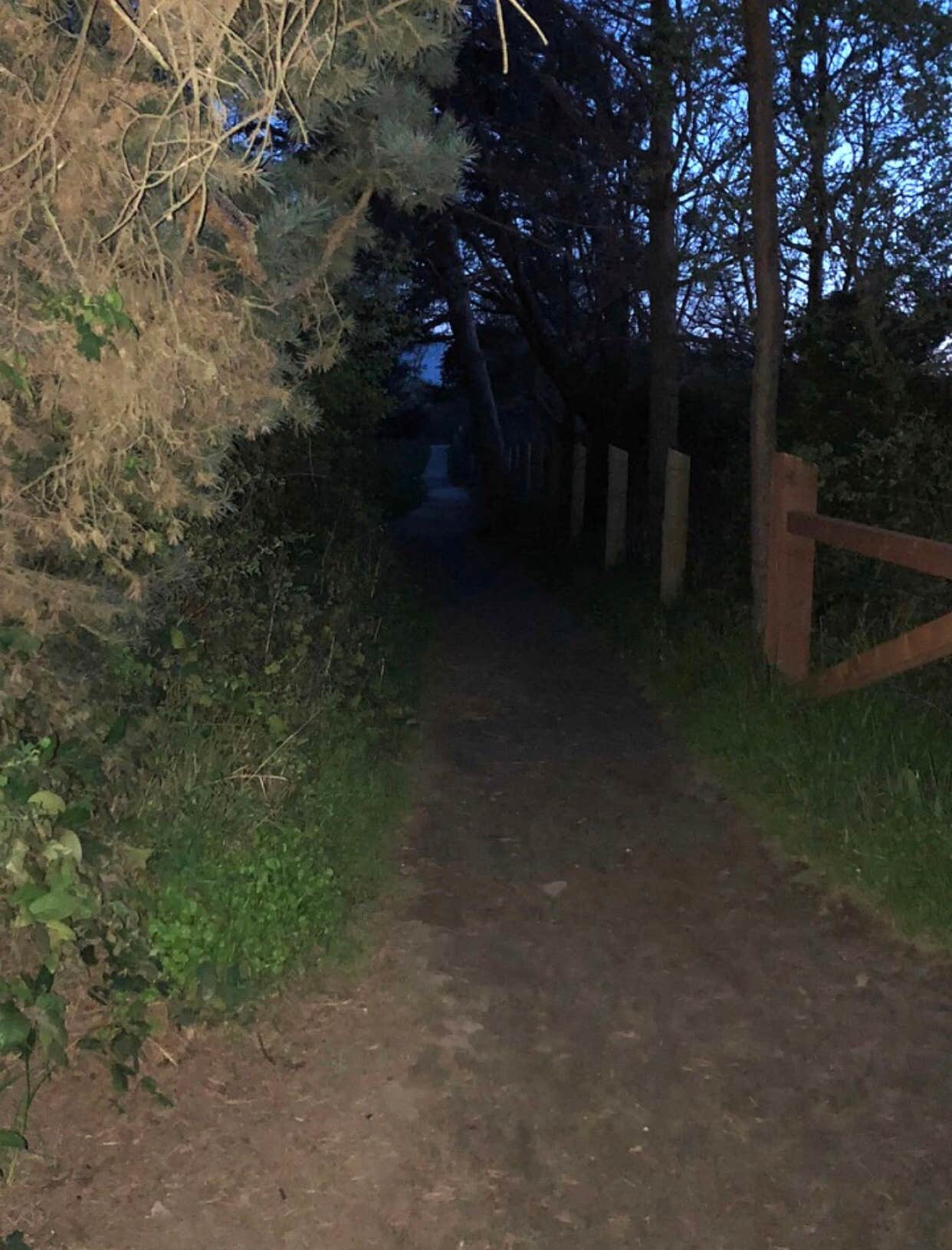 Camper-submitted photo at Dungeness Recreation Area near Sequim, WA