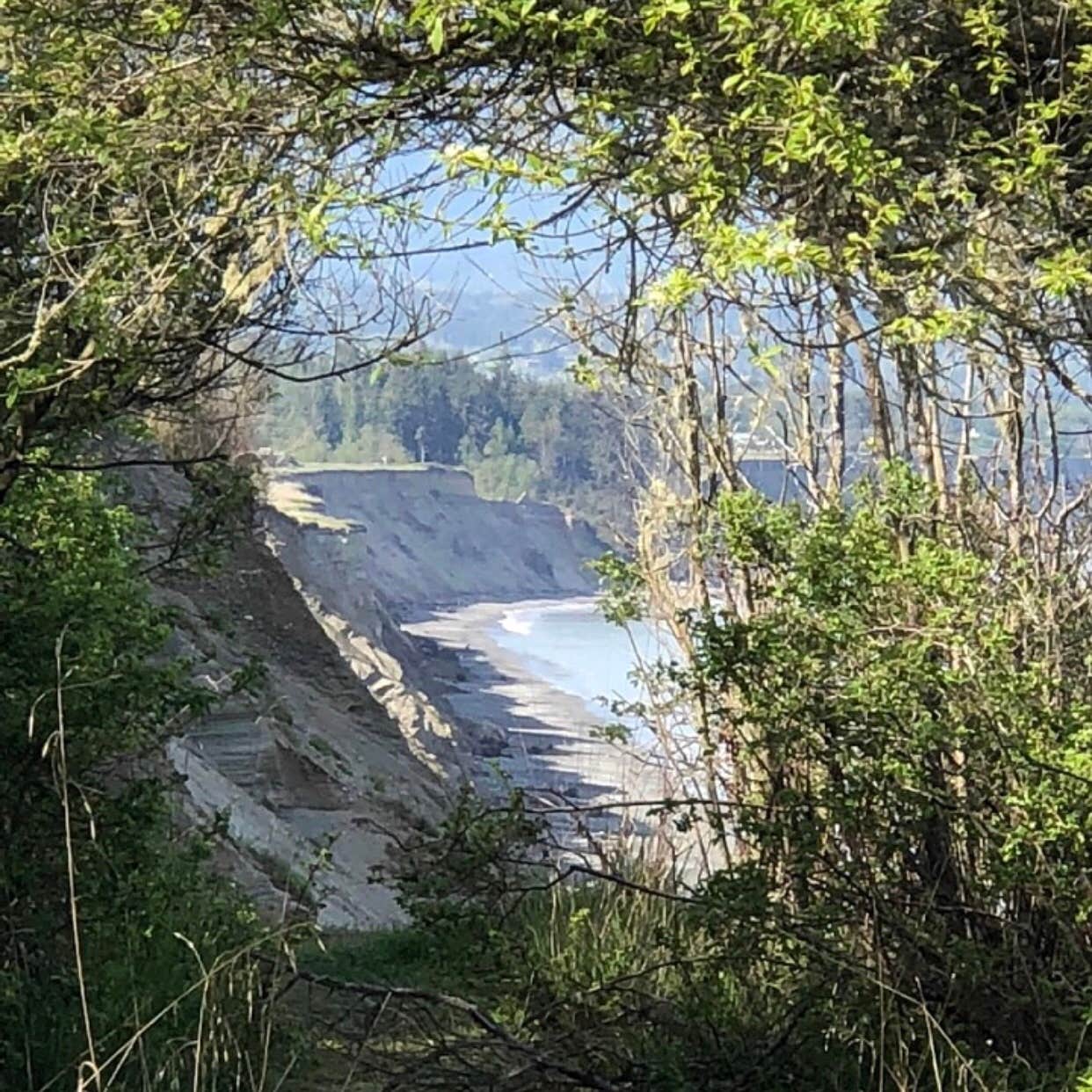 Dungeness Recreation Area Camping The Dyrt
