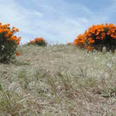 Review photo of Saddleback Butte State Park Campground by Michael K., August 15, 2018