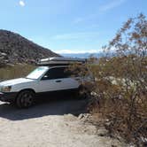 Review photo of Borrego Palm Canyon Campground — Anza-Borrego Desert State Park by Michael K., August 15, 2018