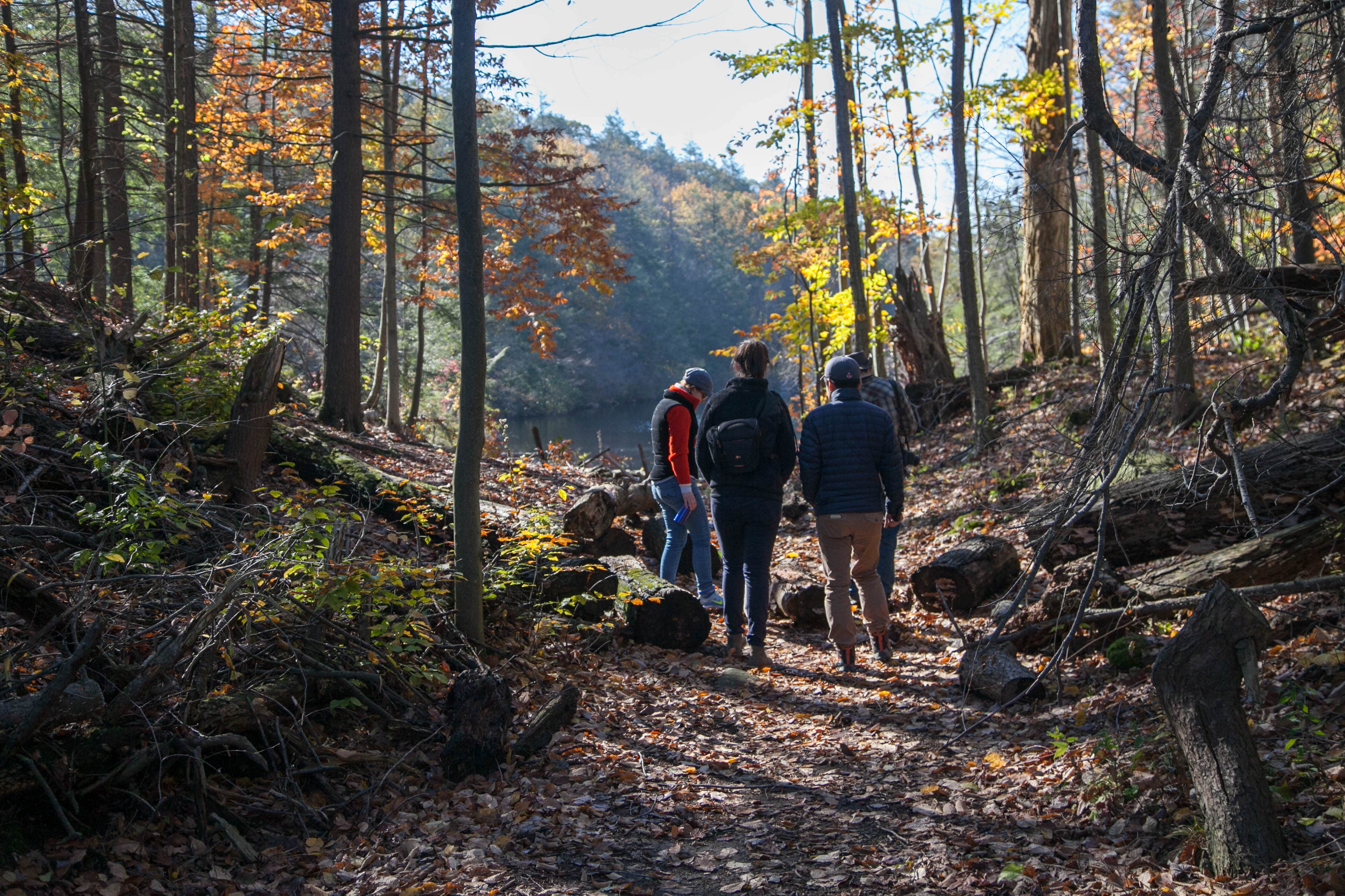 Fahnestock state deals park hiking